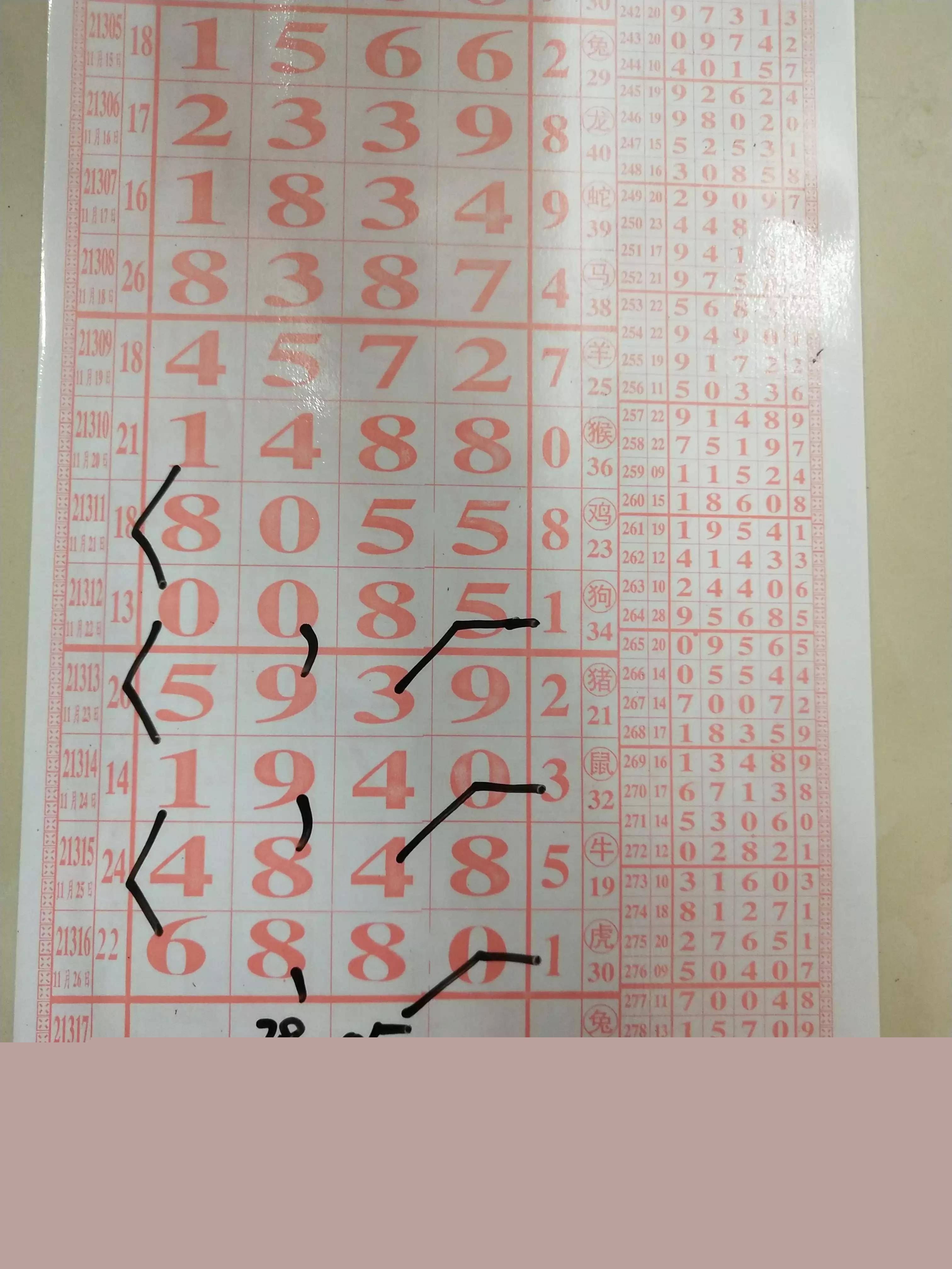 四肖八碼精準(zhǔn)資料期期準(zhǔn)，揭秘精準(zhǔn)預(yù)測(cè)的魅力與重要性，揭秘四肖八碼精準(zhǔn)預(yù)測(cè)的魅力與重要性，期期準(zhǔn)的資料揭示真相