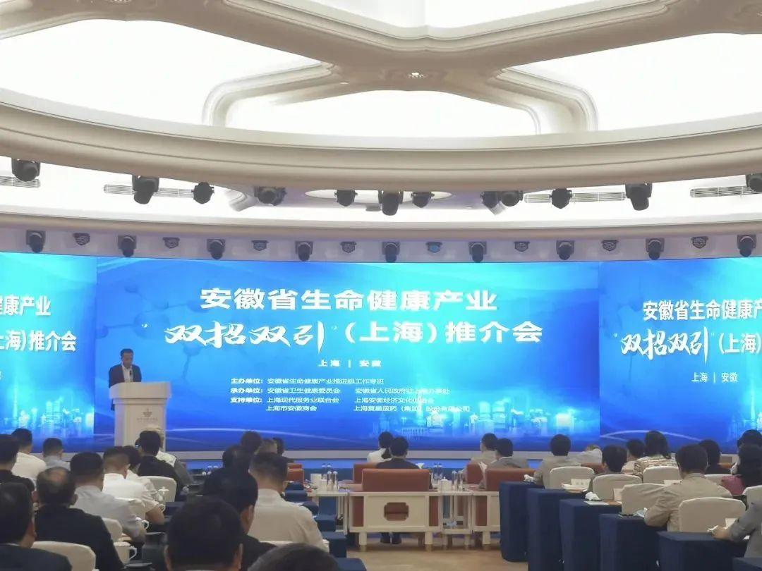 安徽合力股份有限公司，引領(lǐng)行業(yè)發(fā)展的先鋒力量，安徽合力股份有限公司，行業(yè)先鋒，引領(lǐng)發(fā)展之路
