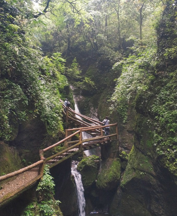 青城山后山旅游攻略，探索美麗的自然秘境，青城山后山探險(xiǎn)之旅，自然秘境的旅游攻略