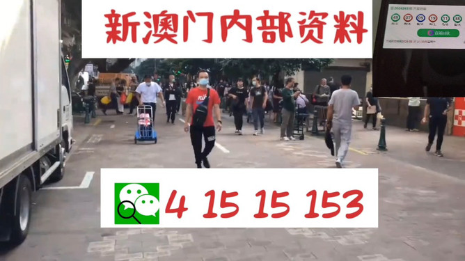澳門管家婆，揭秘數(shù)字背后的故事與魅力，澳門管家婆，數(shù)字背后的故事與魅力揭秘