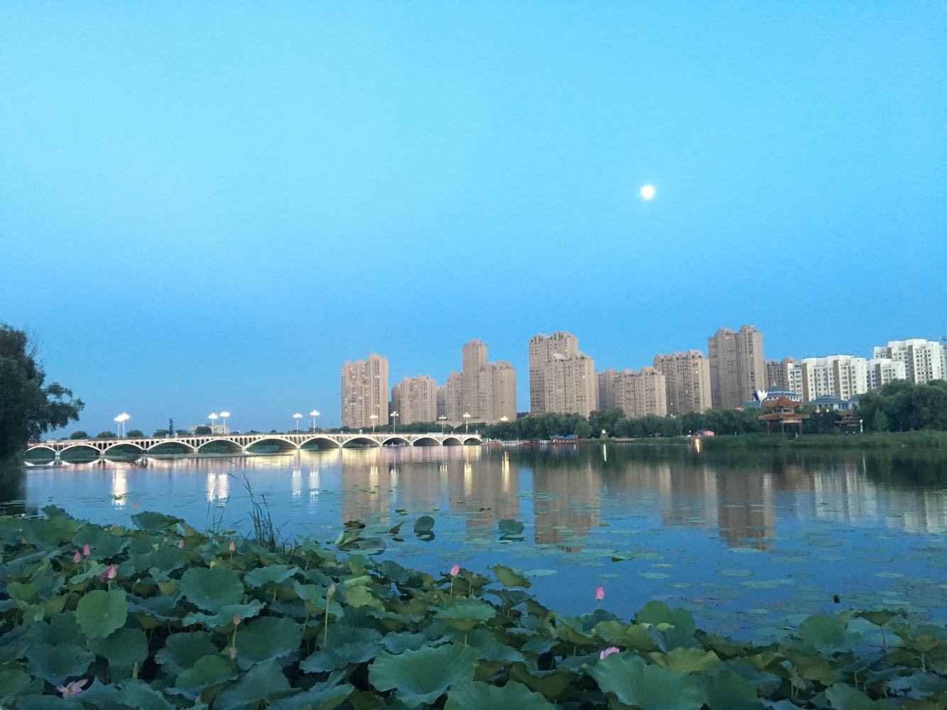 灤南縣天氣預(yù)報(bào)及其影響，灤南縣天氣預(yù)報(bào)與影響分析