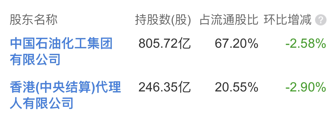 中國(guó)石化600028股票的投資價(jià)值分析，中國(guó)石化股票（代碼600028）投資價(jià)值深度解析