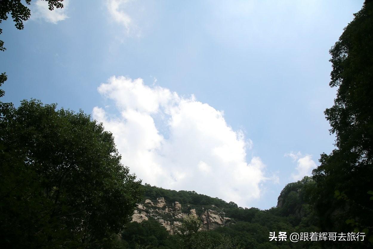 zhangxiaoling 第5頁