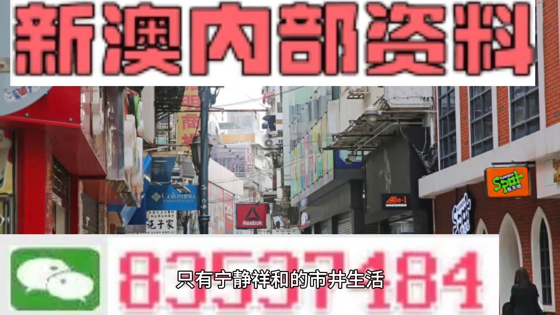 新澳全年免費資料大全，探索與獲取信息的寶庫，新澳全年免費資料寶庫，探索與獲取信息的指南