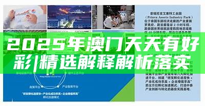 澳門今晚必開一肖——探索生肖彩票的魅力與未來展望，澳門生肖彩票的魅力，今晚必開一肖的未來展望