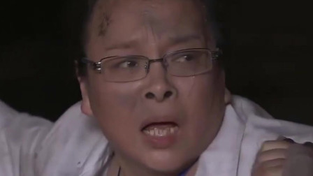 火鳳凰演員表之張海燕，演藝之路的璀璨之星，火鳳凰演員張海燕，演藝之路的璀璨明星