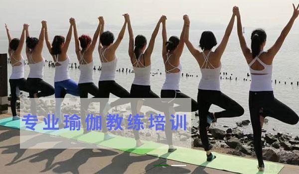 深圳瑜伽教練培訓(xùn)學(xué)校，培養(yǎng)專業(yè)瑜伽人才的搖籃，深圳瑜伽教練培訓(xùn)學(xué)校，培育專業(yè)瑜伽人才的搖籃