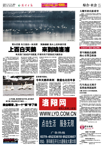 洛陽百姓網(wǎng)，免費發(fā)布信息的力量與魅力，洛陽百姓網(wǎng)，免費發(fā)布信息的力量與魅力展現(xiàn)