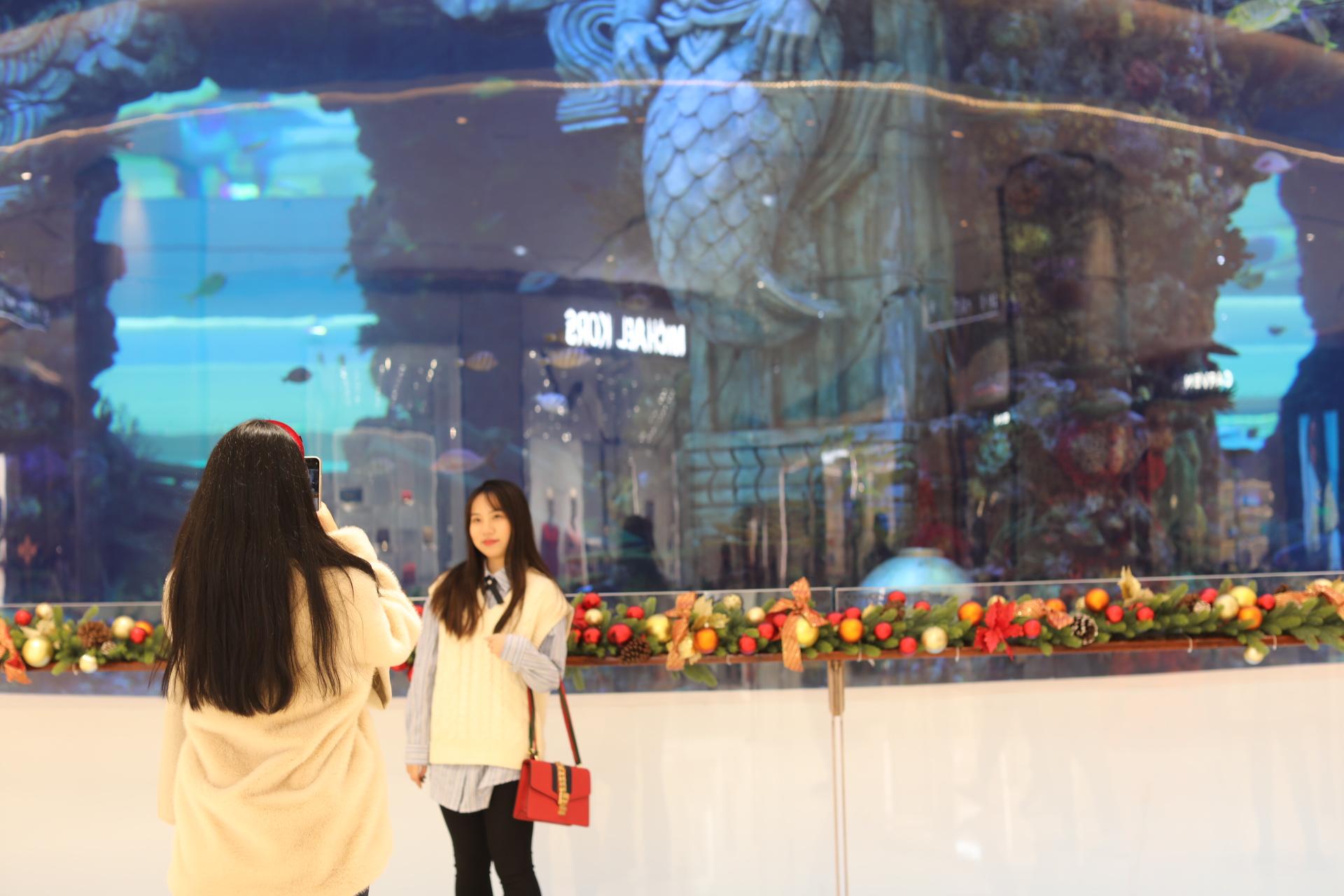 揭秘重慶海洋館門票價格，探索海洋世界的奧秘之旅，重慶海洋館門票揭秘，探索海洋世界的神秘之旅