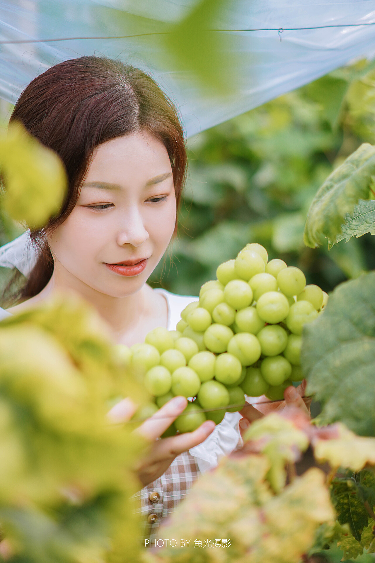 葡萄成熟時(shí)——國語完整版，一曲時(shí)光與味道的交響樂章，葡萄成熟時(shí)——時(shí)光與味道的交響樂章（國語完整版）