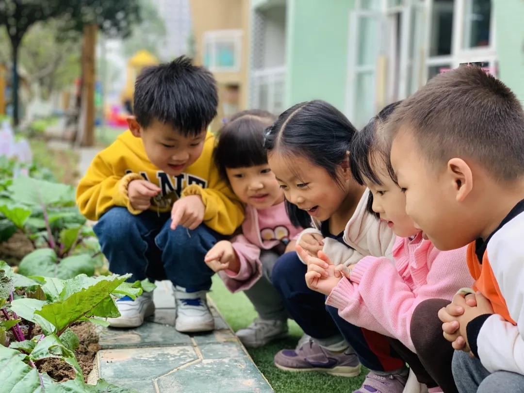 緣來客網(wǎng)會(huì)員登錄主頁，探索與體驗(yàn)，緣來客網(wǎng)登錄主頁，探索與體驗(yàn)之旅