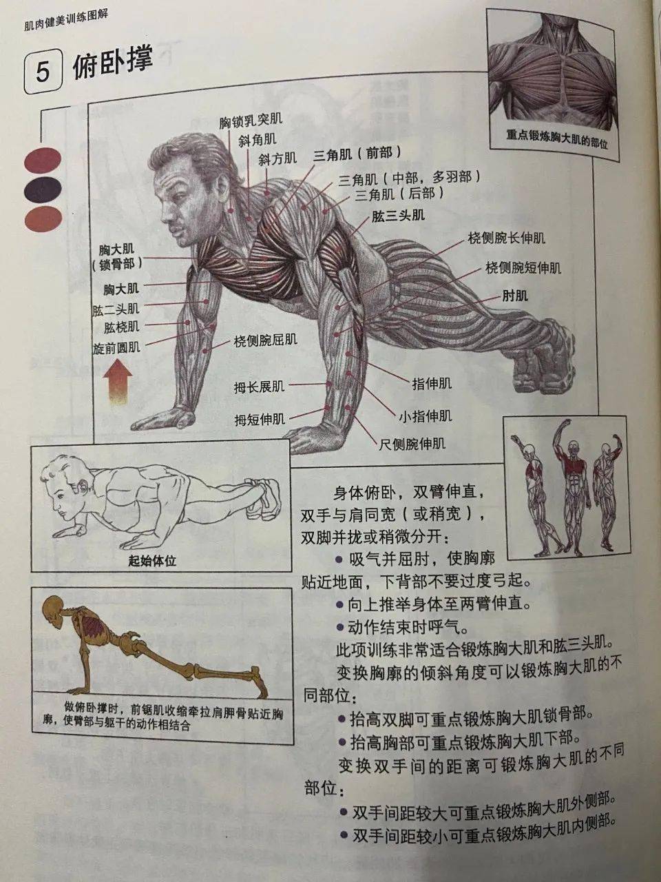 鍛煉胸肌的好處，塑造健康與魅力，鍛煉胸肌，塑造健康與魅力的秘訣