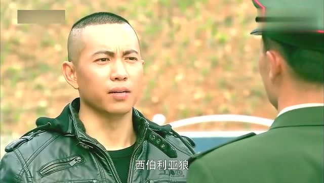 我是特種兵第一部小莊，鐵血戰(zhàn)士的成長與傳奇，小莊的成長與傳奇，特種兵鐵血戰(zhàn)士的第一部故事