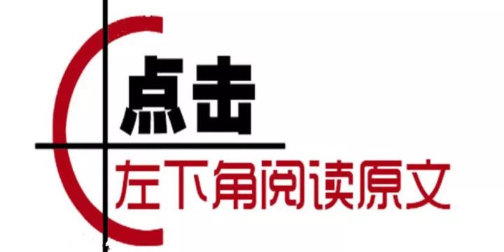 探索澳門彩票文化，第273期澳門必開一肖的神秘面紗，澳門彩票文化揭秘，第273期必開生肖的神秘面紗探索