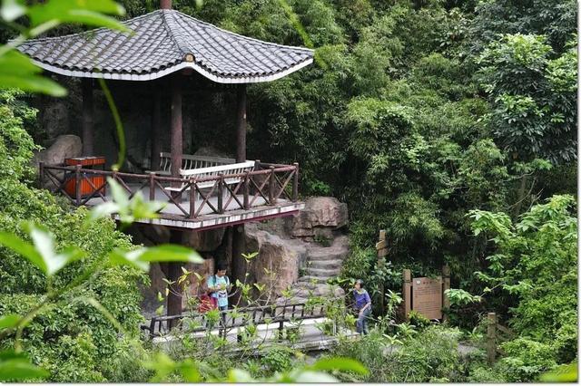 佛山一日游，探索美麗的旅游景點，佛山一日游，探尋美景之旅
