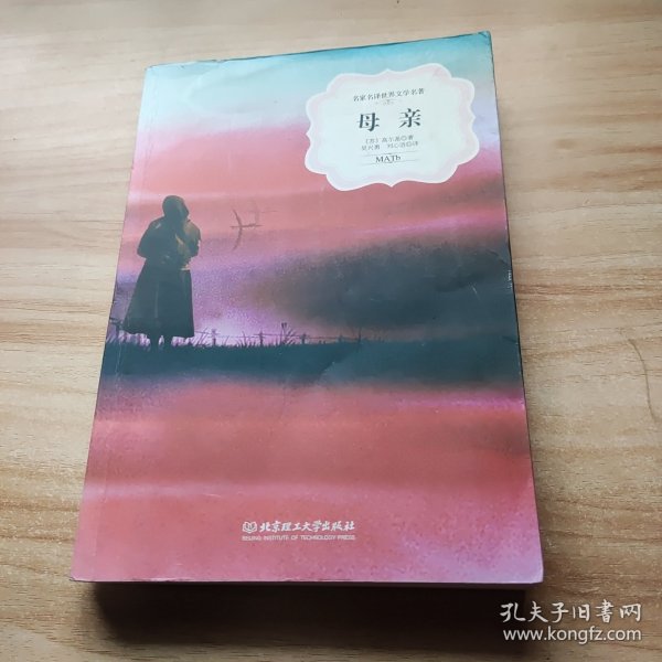 母親經(jīng)典小說全文免費閱讀，母親經(jīng)典小說，免費閱讀全文的溫馨之旅