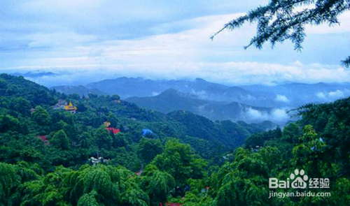 莫干山旅游，探索自然之美，領(lǐng)略人文韻味，莫干山之旅，自然人文的絕美交融探索之旅