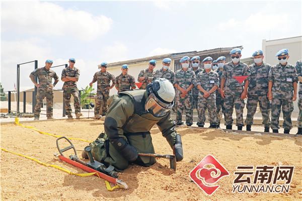 維和步兵營免費(fèi)觀看全集電視劇，熱血軍旅展現(xiàn)英雄本色，維和步兵營，熱血軍旅展現(xiàn)英雄本色，全集免費(fèi)觀看
