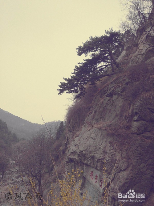 泰山旅游攻略，兩日游費(fèi)用預(yù)算與行程規(guī)劃，泰山兩日游攻略，行程規(guī)劃與費(fèi)用預(yù)算全解析