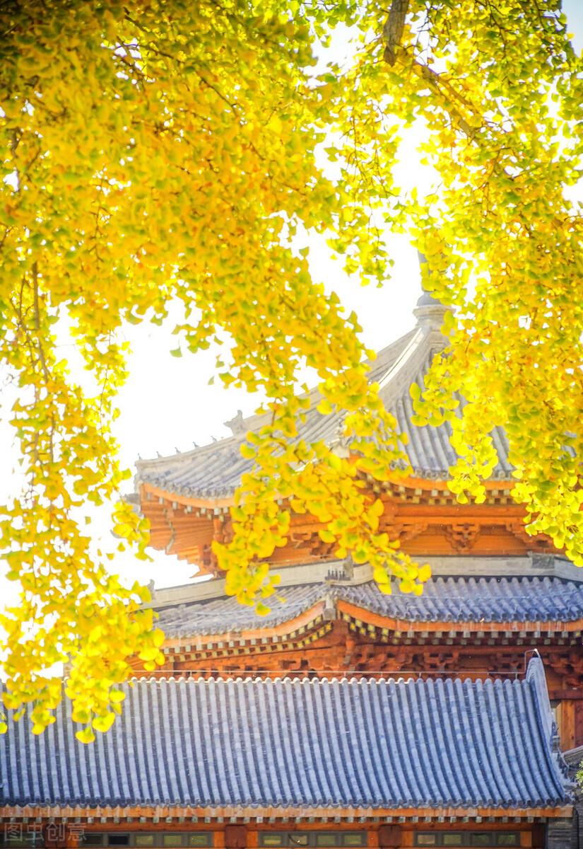 北京七天游玩攻略，深度體驗(yàn)古都的魅力，北京深度游七天攻略，古都魅力的全方位體驗(yàn)