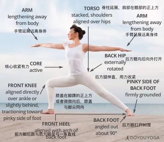 瑜伽減肥的原理，瑜伽減肥的原理與效果解析