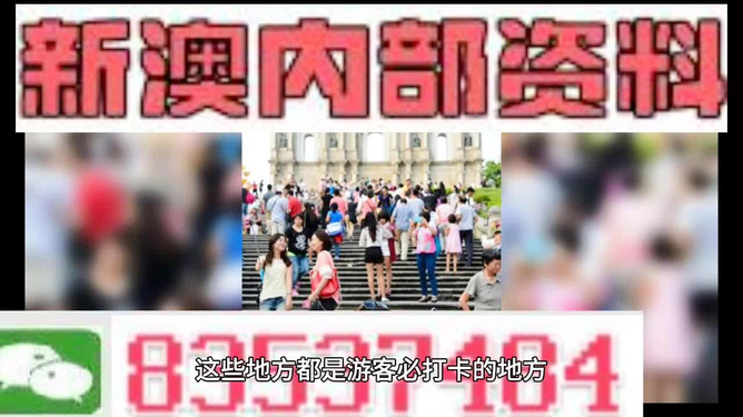 新澳2025年精準資料深度解析，新澳2025年精準資料深度剖析報告