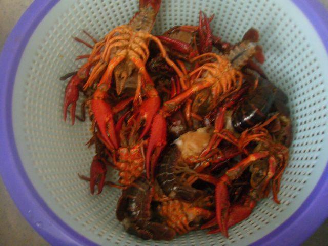 家常小龍蝦最簡單做法，輕松享受美味佳肴，家常小龍蝦簡易做法，輕松享受美味盛宴