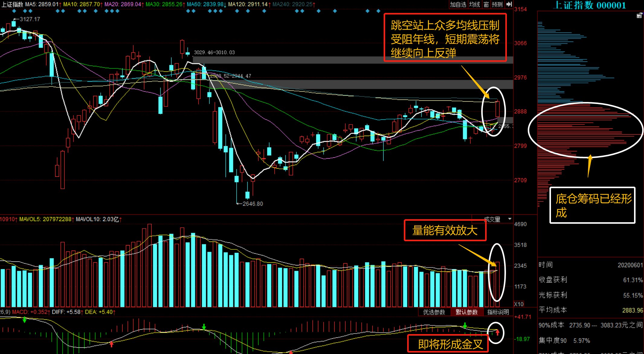 關(guān)于股票行情的探討——聚焦股票行情分析中的關(guān)鍵因素，300941行情分析，股票行情分析聚焦，關(guān)鍵因素探討與300941行情解讀