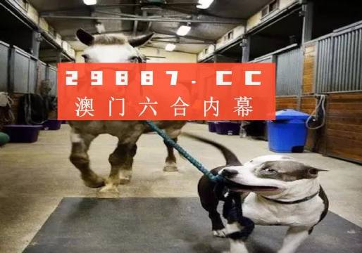 澳門一肖一碼一必中，一肖同舟前進的獨特魅力，澳門一肖一碼魅力，獨特前進，必中同舟前進之路