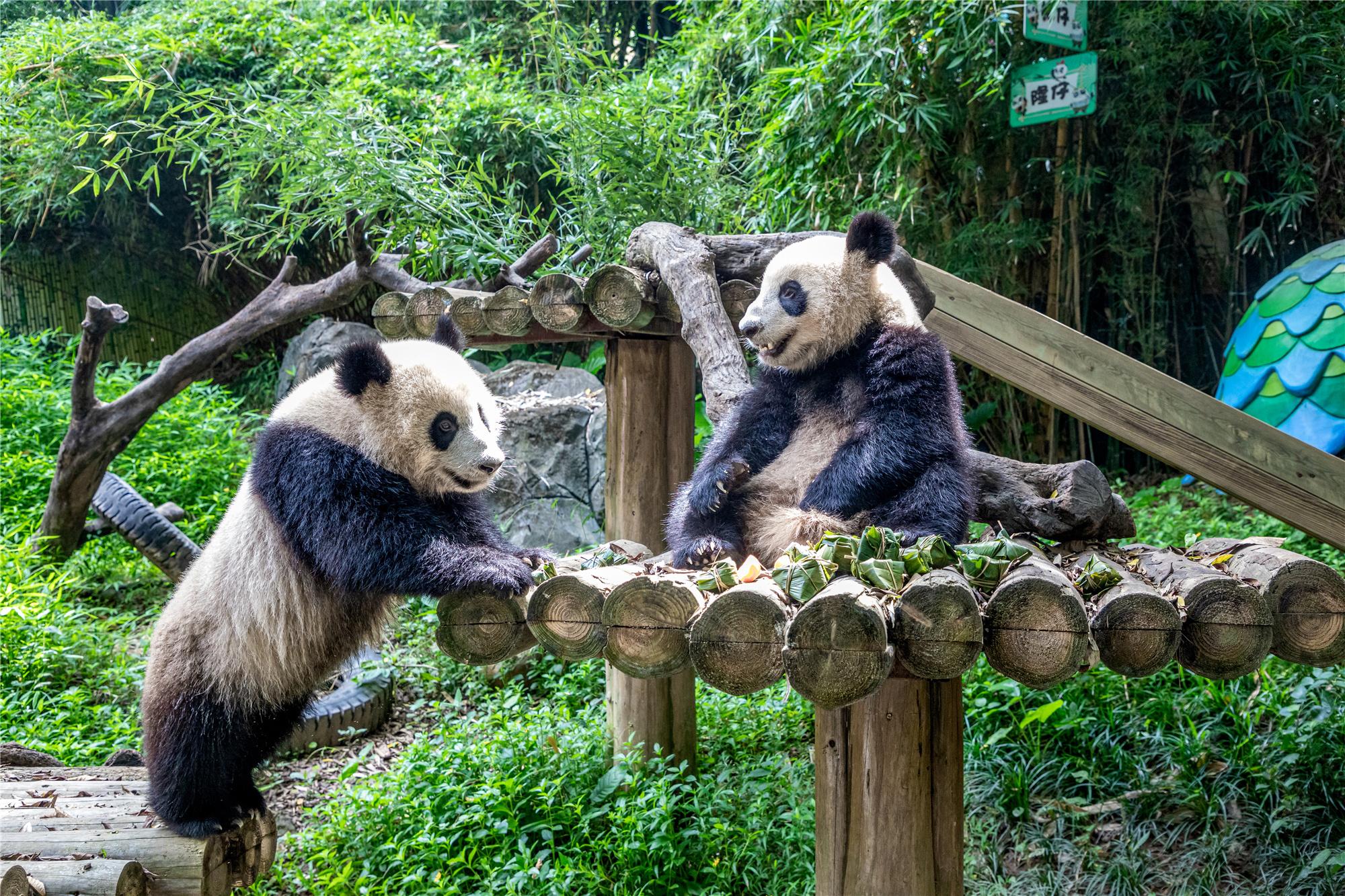暑假親子旅游景點推薦——打造美好家庭回憶的理想之地，暑假親子游必去景點推薦，打造美好家庭回憶的理想目的地