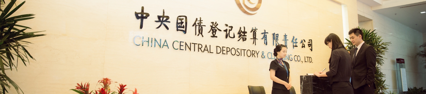 中國(guó)證券登記結(jié)算有限公司官網(wǎng)深度解析，中國(guó)證券登記結(jié)算有限公司官網(wǎng)全面解析