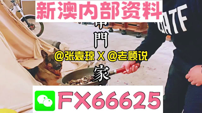 新澳門精準(zhǔn)資料大全與管家婆料，探索與解析，澳門精準(zhǔn)資料大全與管家婆料，深度探索與解析