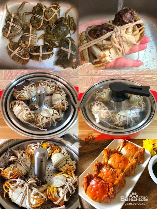 清蒸大閘蟹的做法步驟，清蒸大閘蟹美味制作攻略