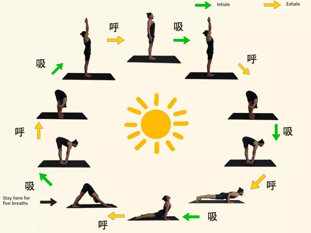 在家輕松開(kāi)啟瑜伽之旅，瑜伽視頻教程初級(jí)全套詳解，在家輕松開(kāi)啟瑜伽之旅，瑜伽視頻教程初級(jí)全套詳解指南