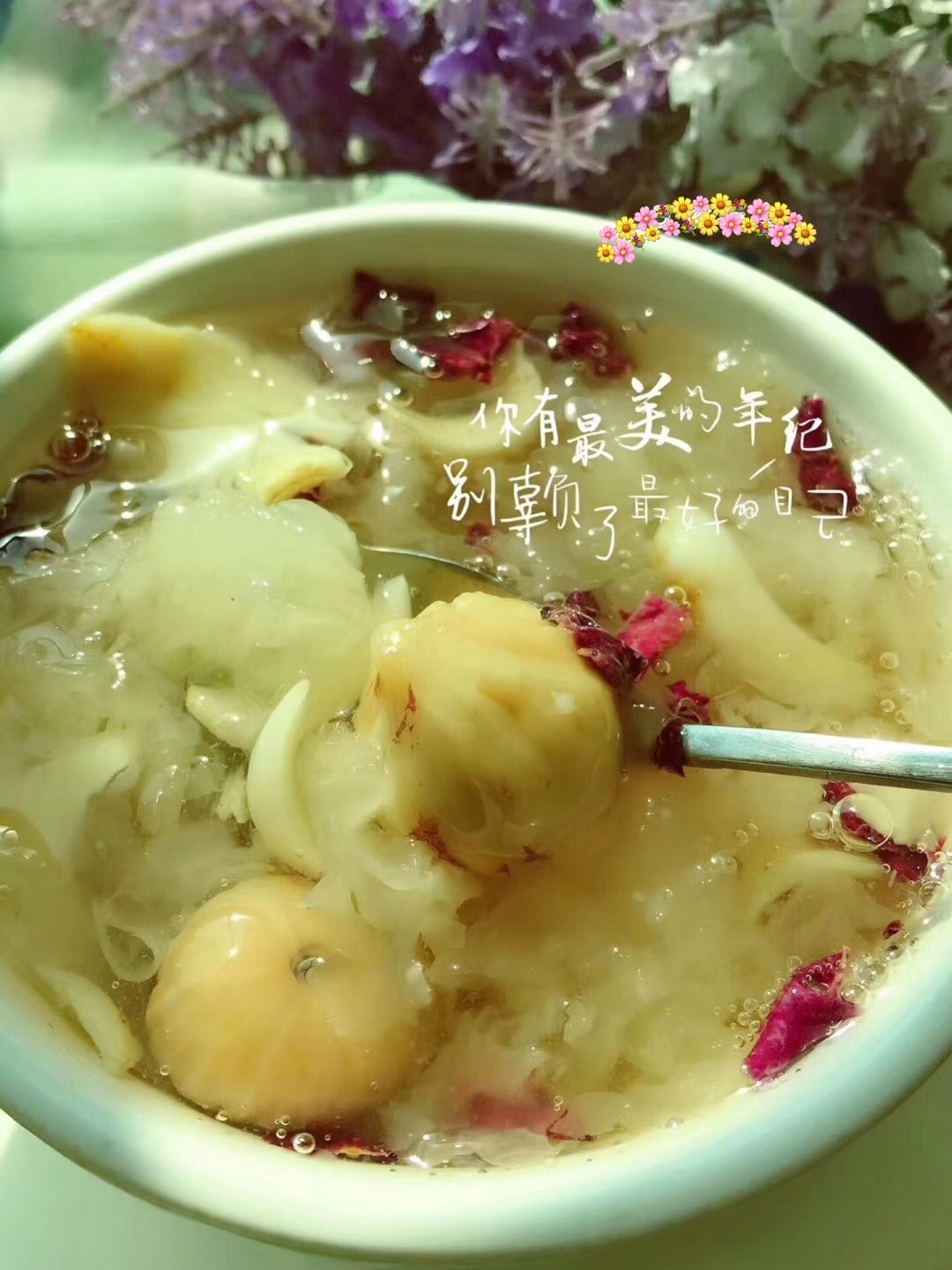 美容養(yǎng)顏湯，百款精選，讓你煥發(fā)自然光彩，美容養(yǎng)顏湯精選百款，自然光彩煥發(fā)秘籍