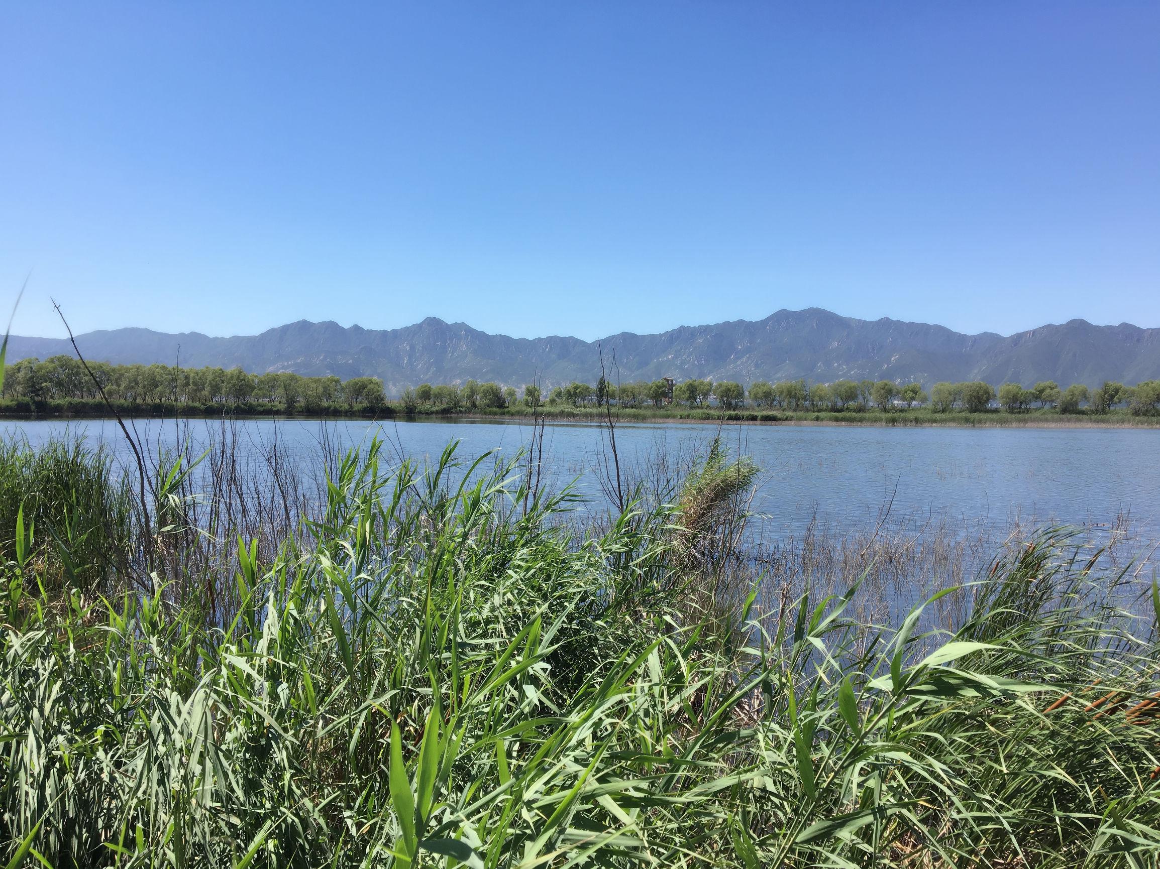 昆明野鴨湖風景區(qū)，自然之韻，人文之魅，昆明野鴨湖風景區(qū)，自然人文交融的魅力之地