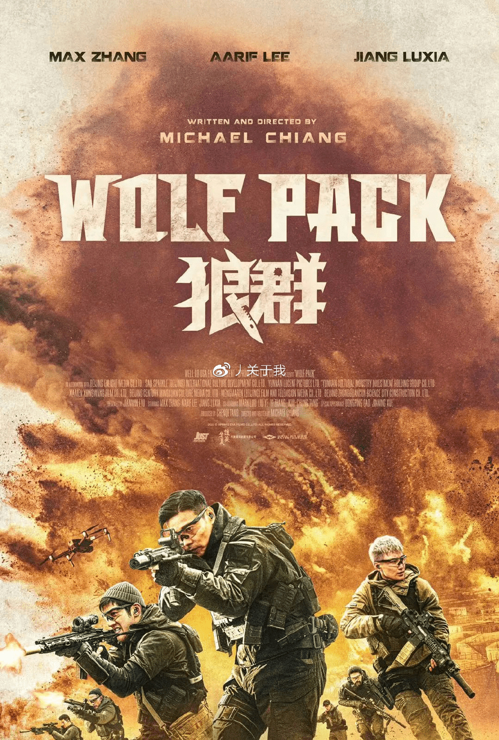狼群影視在線觀看視頻大全，探索影視娛樂的新世界，狼群影視在線觀看視頻大全，影視娛樂新世界探索