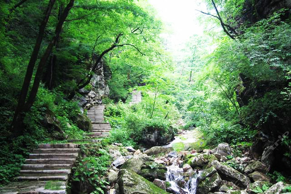 蟒山國家森林公園，北京的自然寶藏，蟒山國家森林公園，北京的自然秘境