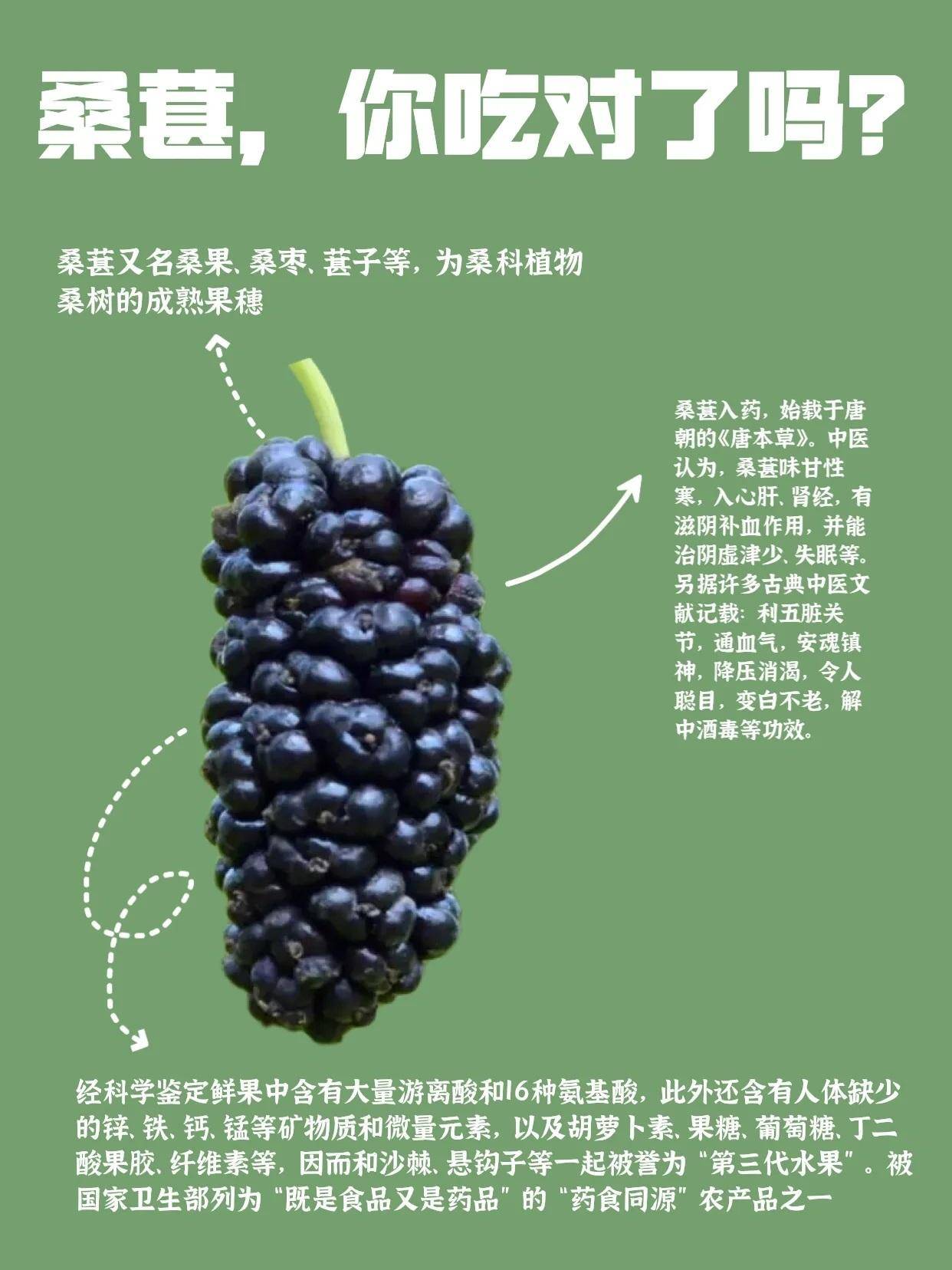 桑葚酒男人喝了壯陽嗎，探究桑葚酒對(duì)男性健康的影響，探究桑葚酒對(duì)男性壯陽作用及健康影響