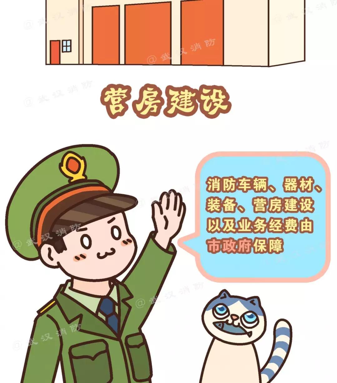 中國武警部隊的編制屬性，深度解析與探討，中國武警部隊編制屬性深度解析與探討