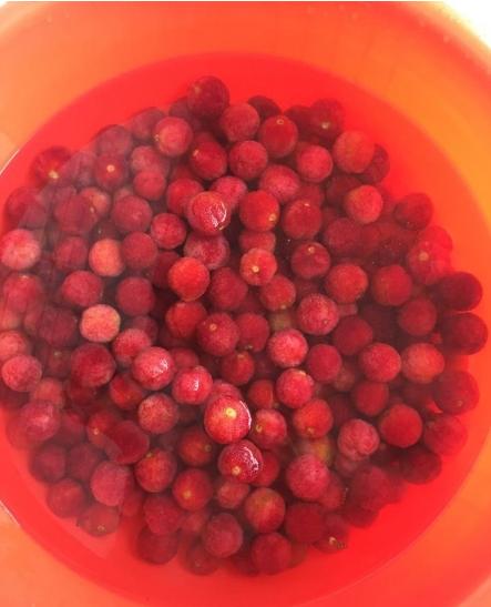 楊梅酒的制作方法，楊梅酒制作教程