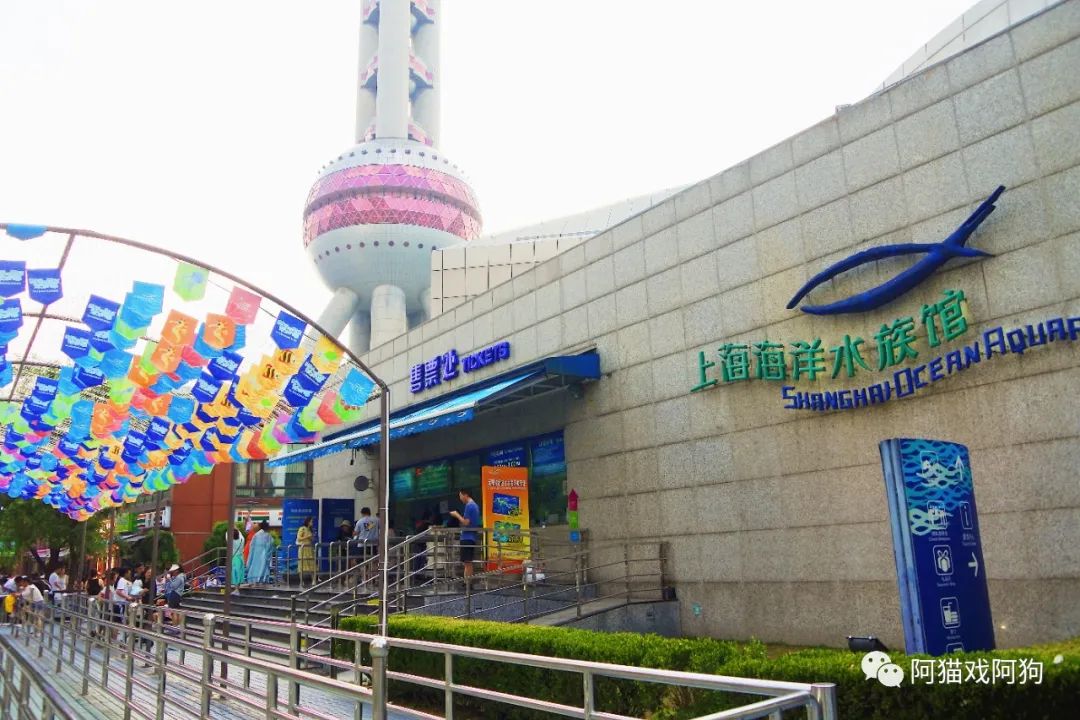 上海大洋海底世界地鐵路線指南，上海大洋海底世界地鐵路線攻略