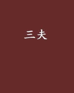 三夫之力，探索內(nèi)在的力量與智慧，三夫之力，挖掘內(nèi)在的力量與智慧