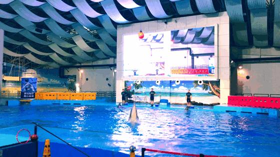 漢海海洋公園門票票價(jià)詳解，漢海海洋公園門票價(jià)格全面解析