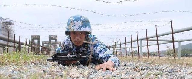 揭秘蛟龍突擊隊(duì)，成員數(shù)量及背后故事，揭秘蛟龍突擊隊(duì)，成員數(shù)量與背后故事全解析