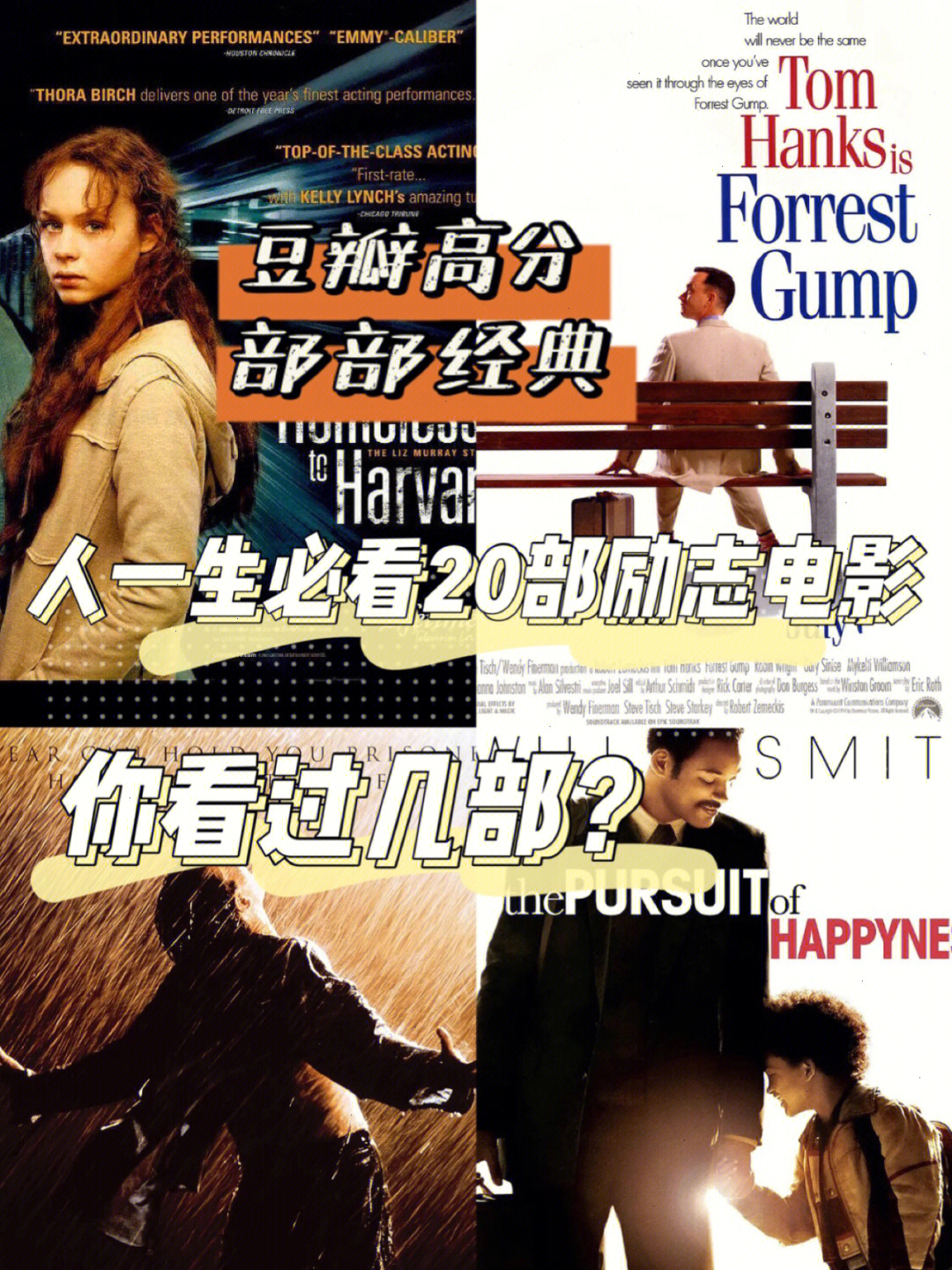 人生十大必看電影，探尋經(jīng)典之作的魅力，人生經(jīng)典十大必看電影，探尋魅力之作的傳奇之旅