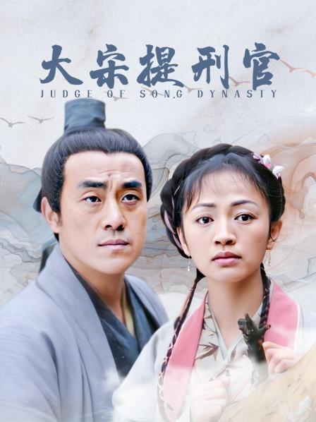 大宋提刑官，司法公正與智慧的象征，大宋提刑官，司法公正與智慧的典范