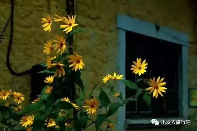 如何購買綠皮火車的車票——以12306為例，購買綠皮火車車票指南，以12306為例