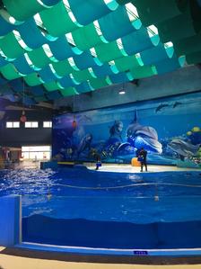 南京水族館的位置及其魅力，南京水族館的魅力與位置揭秘