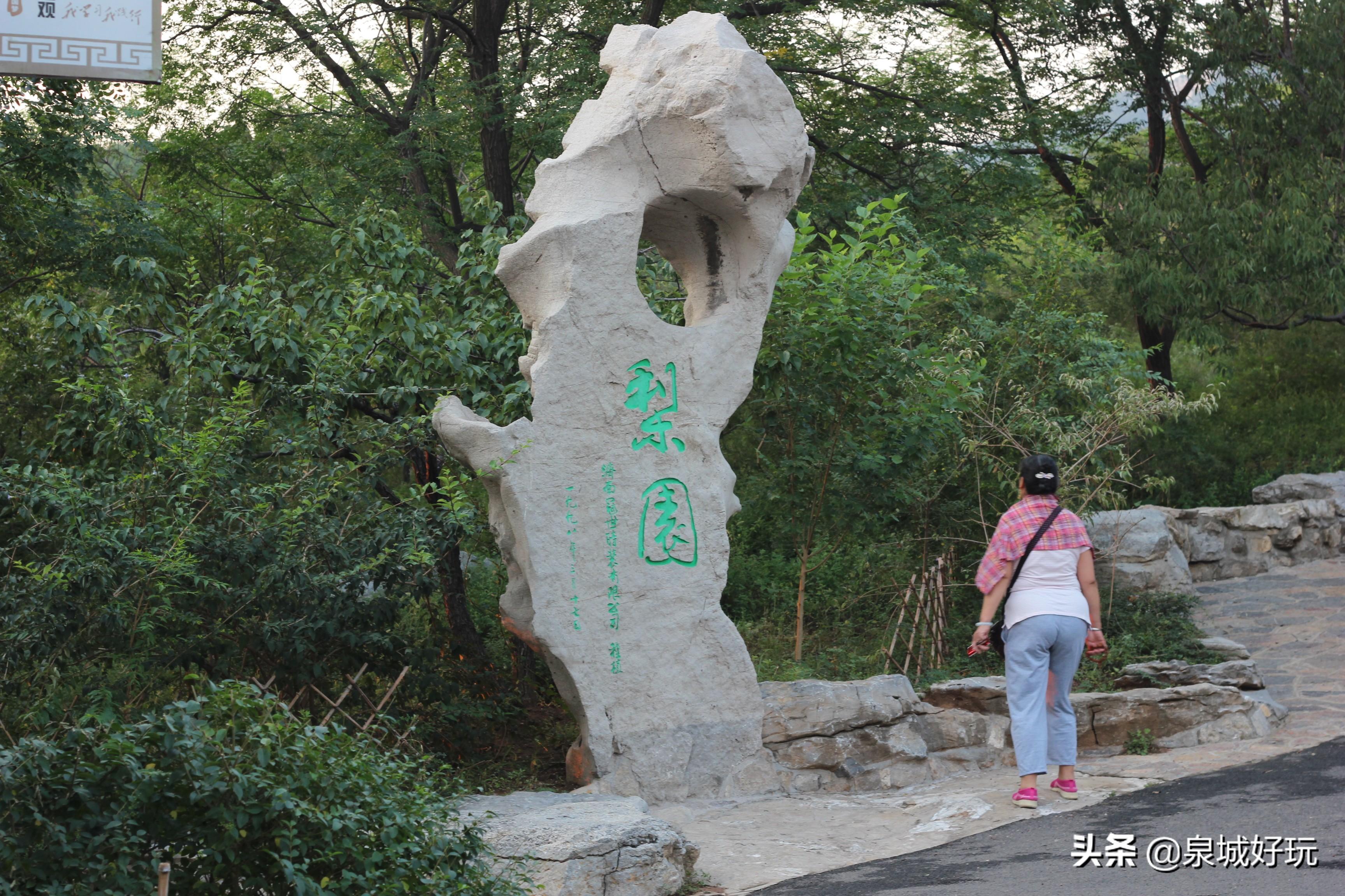 濟(jì)南千佛山景區(qū)門(mén)票免費(fèi)預(yù)約攻略，濟(jì)南千佛山景區(qū)門(mén)票免費(fèi)預(yù)約攻略詳解